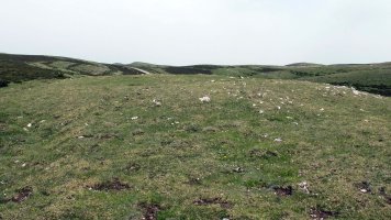 Artezabal eraztun tumulua, Andia