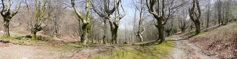 Domikoko lepoko pagadia