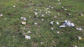 San Kristobal tumulua-1, Lezaun