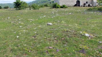 San Kristobal tumulua-4, Lezaun