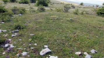 San Kristobal tumulua-5, Lezaun