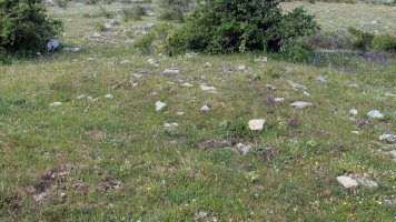 San Kristobal tumulua-6, Lezaun