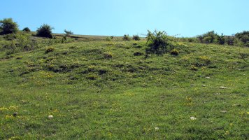 El Raso etxola hondoa, Lezaun