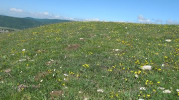 El Raso 2 etxola hondoa, Lezaun