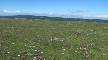 El Illarral 1 ipar eraztun-tumulua, Lezaun