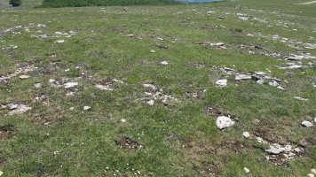 Artxurieta 2 erdi tumulua, Andia