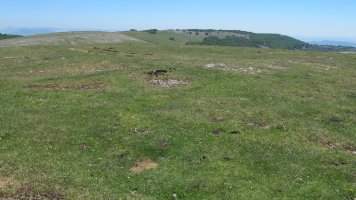 Maikaxko 1 hego eraztun-tumulua, Andia