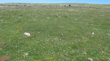 Malkaxko harrespila, Lezaun