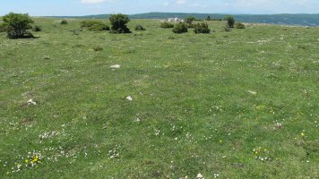 Malkaxko harrespila, Lezaun