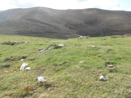 bidagurutzetako kaskoa 2