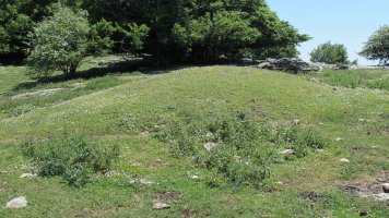 Salera etxola hondoa, Andia