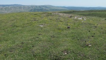 Zaborrateko Aldapa tumulua, Andia