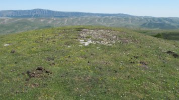 Zaborrateko Aldapa tumulua, Andia