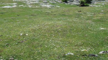 Larrenganbela 1 etxola hondoa, Andia