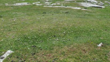 Larrenganbela 2 etxola hondoa, Andia