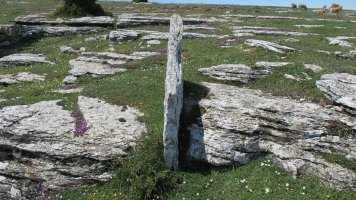 Larrenganbelako Aldapa zutarria, Andia