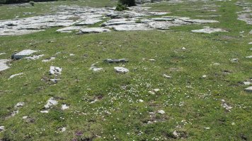 Larrenganbelako Aldapa 3 etxola hondoa, Andia