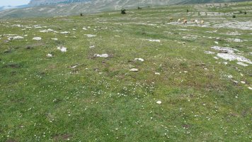 Larrenganbelako Aldapa 3 etxola hondoa, Andia