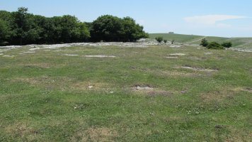 La Sima de la Alpargata eraztun-tumulua, Andia