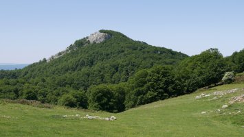 Puttarri Oregigaña aldetik