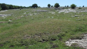 Larrenganbelako Aldapa 4 etxola hondoa, Andia