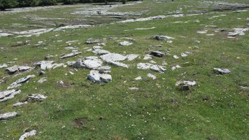 Larrenganbelako Aldapa 2 tumulua, Andia