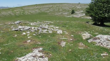 Larrenganbelako Aldapa txabola tumularra, Andia