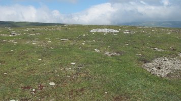 Larrenganbela eraztun-tumulua, Andia