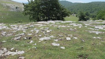 Larginburu 2 ipar tumulua, Andia