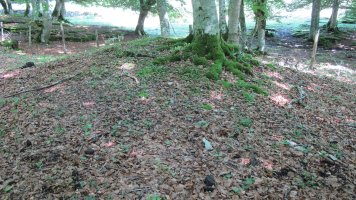 Larginburu tumulua, Iturgoien-Gesalatz