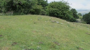 Estiturri etxola hondoa, Andia