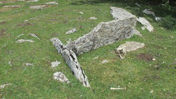 Saguain 1 mendebal trikuharria, Andia