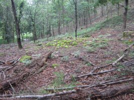 Dólmen Putzuzar   (Junio  2015)