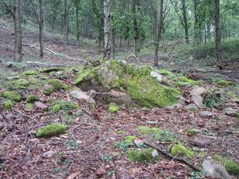 Dólmen Putzuzar   (Junio  2015)