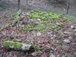 Dólmen Putzuzar   (Junio  2015)