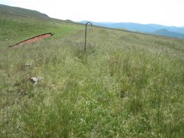 Cromlech Tumular Ilarrita nº 25   (Junio  2015)