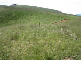 Cromlech Tumular Ilarrita nº 24   (Junio  2015)