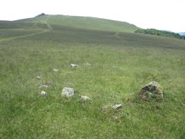 Cromlech Ilarrita nº 21   (Junio  2015)