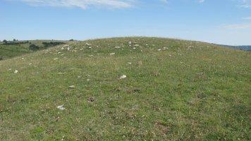 Motxope tumulua, Munarriz-Goñi