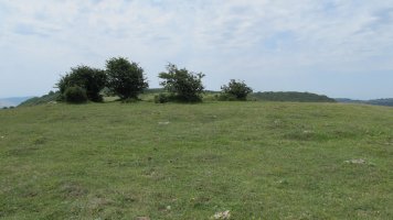 El Alto eraztun-tumulua, Munarriz-Goñi