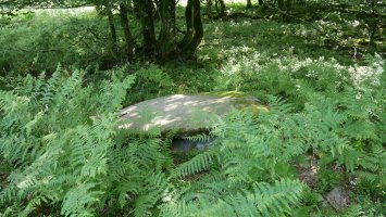 Zelaiaundi trikuharria