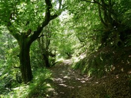 Arizkundik Iñarbegira doan bidea