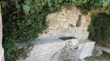 Iturria, Elkarte-Berriobeiti