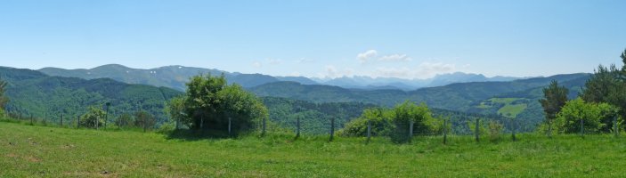 Pirinioak Goimenditik