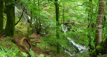 Txarutako errekako urjauziak