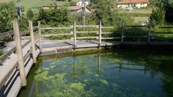 Aldapekoerrota, Aldape auzoan