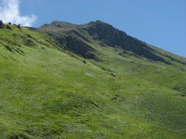 I-M gandorra, Gerrestei-tik