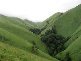 Harpeko erreka, lainoan