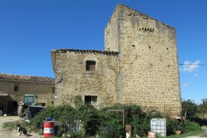 Zuasti jaregia, Zuasti-Longida