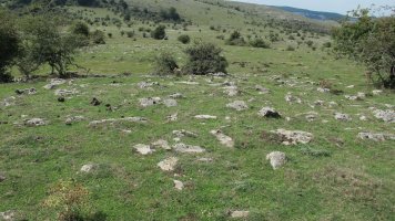 Soosa 4 tumulua, Andia